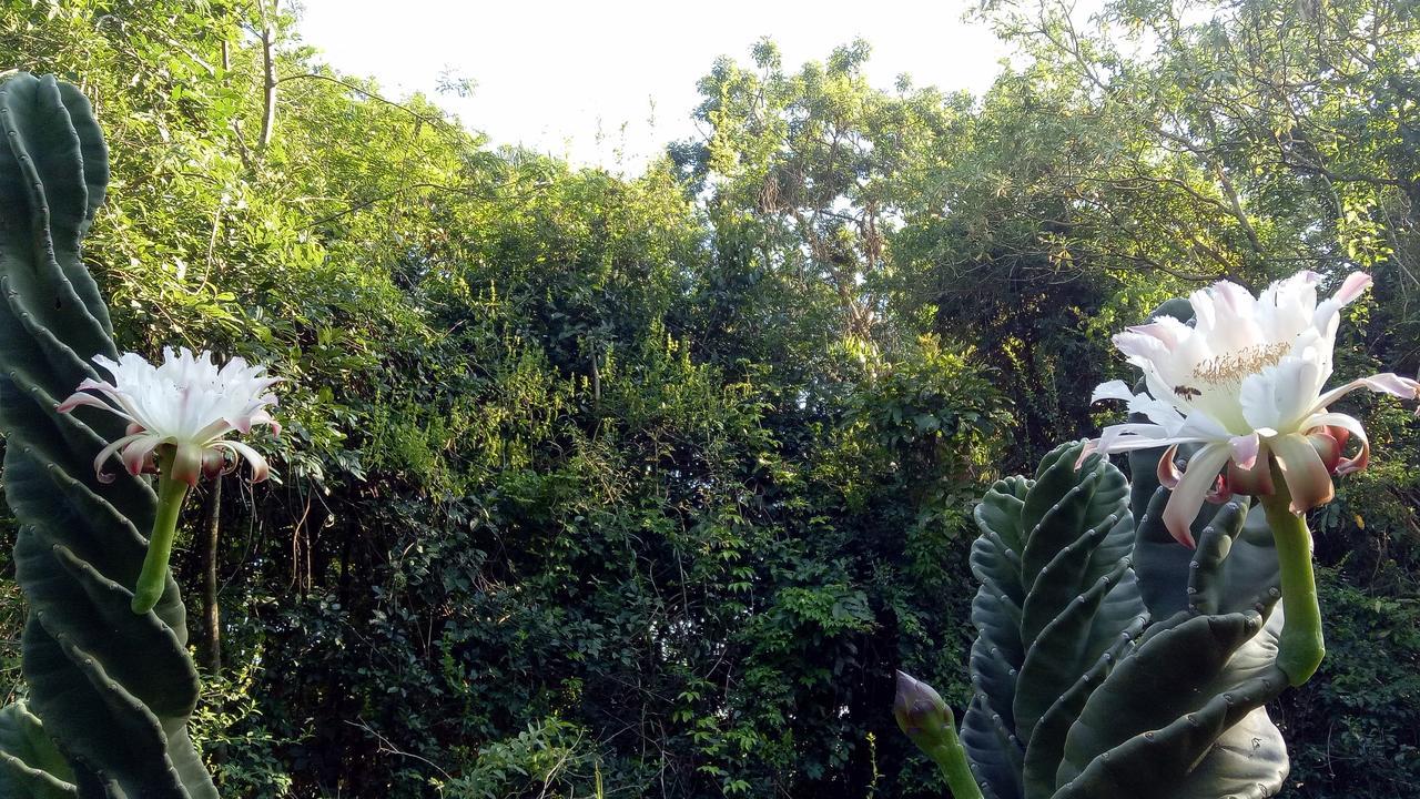 Posada Camboata Aristóbulo del Valle Exteriör bild